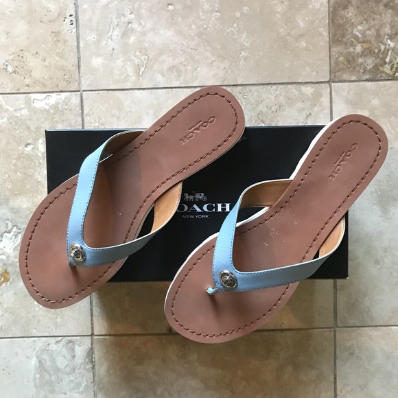 Coach Shoes - Coach Shelly Semi Matte Calf Sandal Cornflower 9M